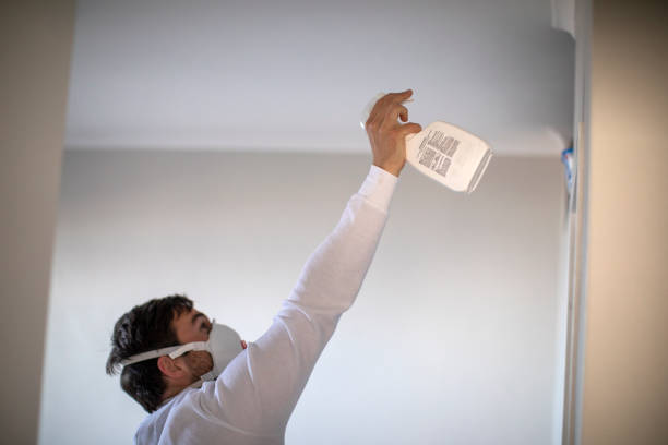 Best Mold Damage Repair  in Schererville, IN