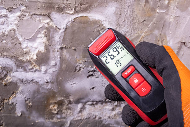 Mold Testing and Removal in Schererville, IN